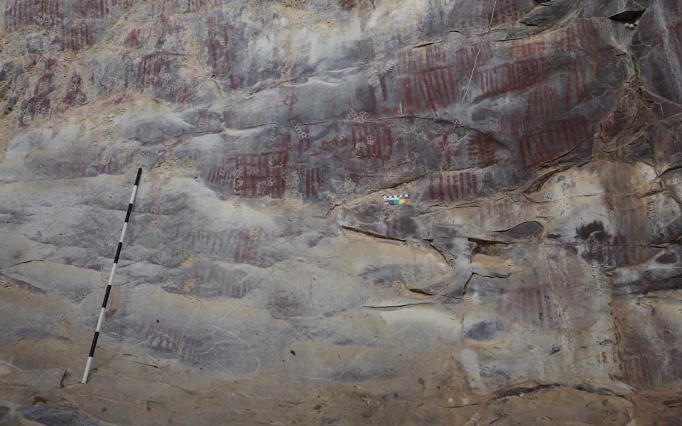 This photo shows more examples of newly discovered rock art.