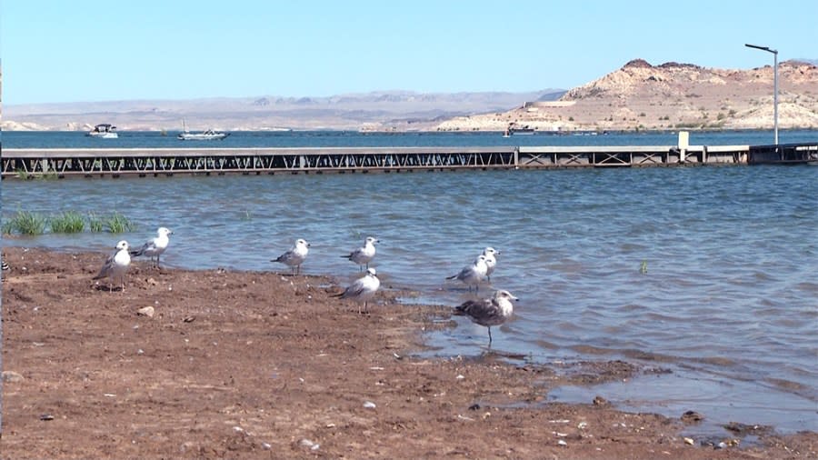 Lake Mead near Las Vegas. (KLAS)