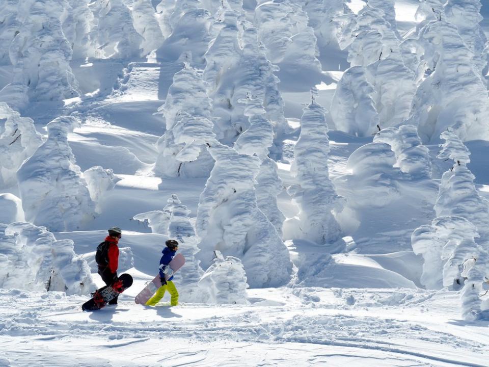 snow monsters and snow boarders in Japan