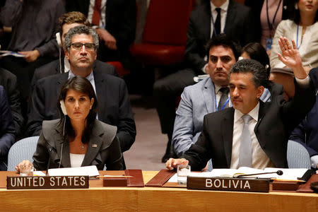 U.S. Ambassador to the United Nations Nikki Haley vetoes a vote as Bolivian Ambassador Sacha Llorenty votes for a Arab-backed resolution for protection of Palestinian civilians during a Security Council meeting at U.N. headquarters in Manhattan, New York, U.S., June 1, 2018. REUTERS/Shannon Stapleton