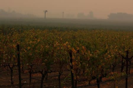 A vineyard is clouded in smoke from wildfires outside Napa, California, U.S., October 13, 2017. REUTERS/Jim Urquhart