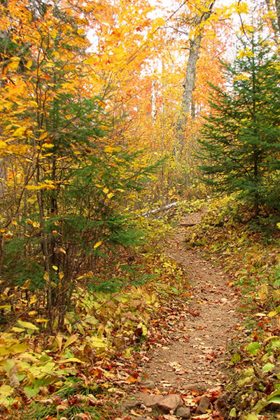 <p>Desde principios de octubre el otoño se deja sentir en casi todo este estado, famoso por sus bosques. Lo mejor: recorrer la ruta escénica Enchanted Circle. Foto: <em><a rel="nofollow noopener" href="https://www.flickr.com/photos/usdagov/8094827825/sizes/l" target="_blank" data-ylk="slk:flickr.com/usdagov/8094827825/;elm:context_link;itc:0;sec:content-canvas" class="link ">flickr.com/usdagov/8094827825/</a></em> </p>