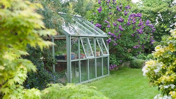 Garden greenhouse with green grass and flowers