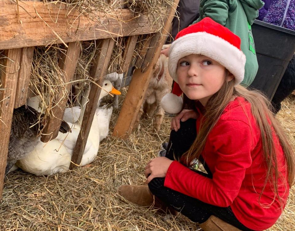Seven-year-old Willow Dabkowski of Clyde visits the animals at Doebel’s petting zoo. She and her 3-year-old sister, Wren Dabkowski, enjoyed the petting zoon on Saturday.