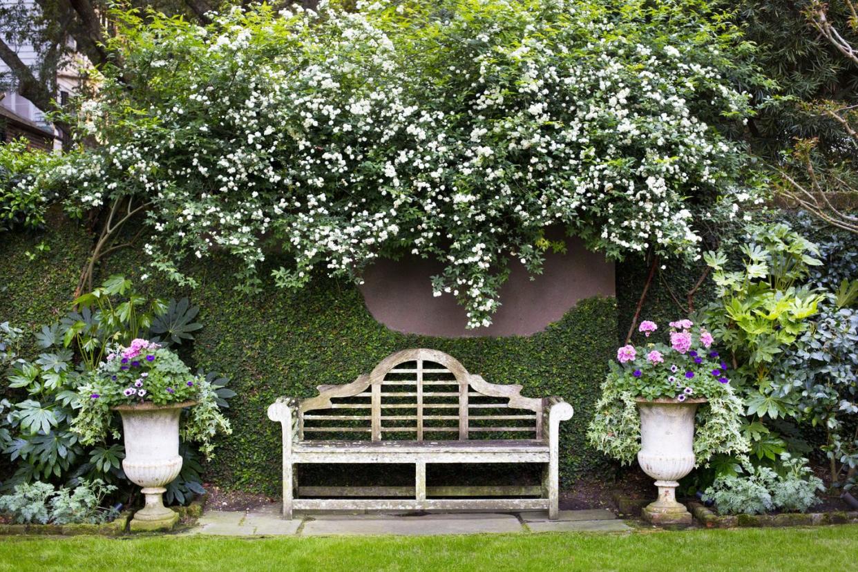 18th century charleston, south carolina, home design by ben lenhardt white lady banks roses tumble over a garden wall with creeping fig