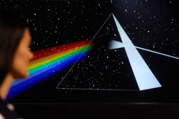 pink-floyd-brainwaves - Credit: Bernd Thissen/picture alliance via Getty Images