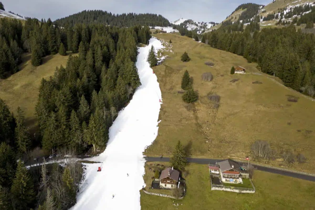 Skiers speed down a slope with artificial snow in the middle of a snowless field, at 1600 meters above sea level, in the alpine resort of Villars-sur-Ollon, Switzerland (AP)