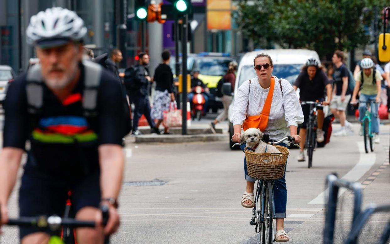 cyclists