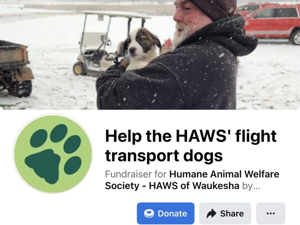 Help the HAWS' flight transport dogs fundraiser campaign banner