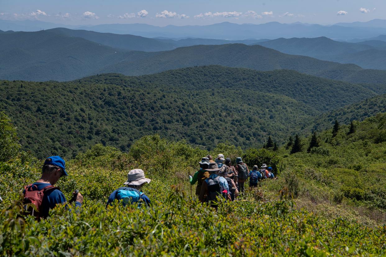 A coalition of five conservation organizations have sued the U.S. Forest Service, alleging the 2023 management plan for the Nantahala-Pisgah national forests failed to protect the biologically diverse areas, including the habitats of federally protected bat species, as the plan expanded logging practices in the more than million acres of national forest. The Carolina Mountain Club hiking to Tennent Mountain in Pisgah National Forest July 12, 2023, in this Citizen Times file photo.