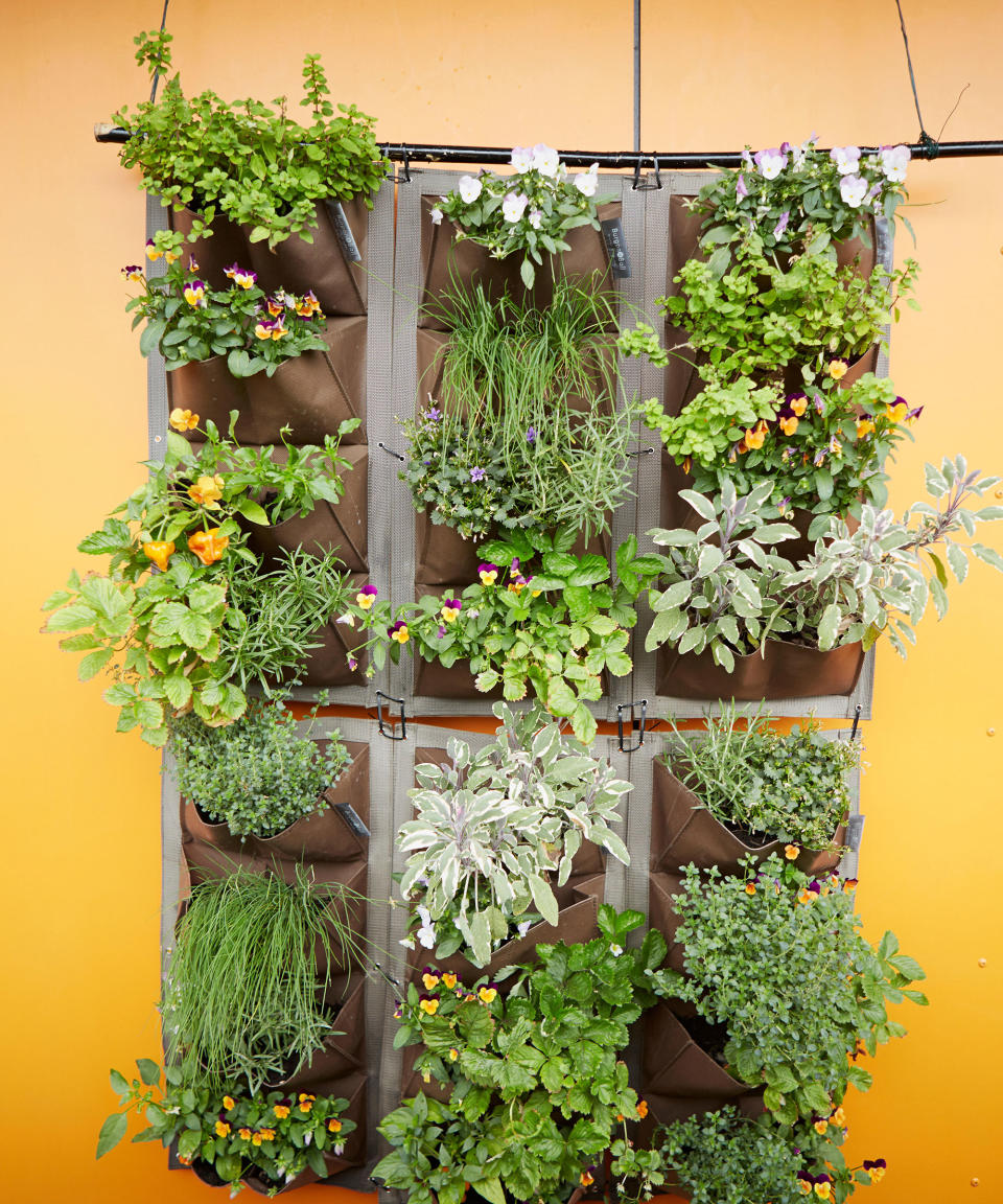 8. PLANT A VERTICAL HERB GARDEN