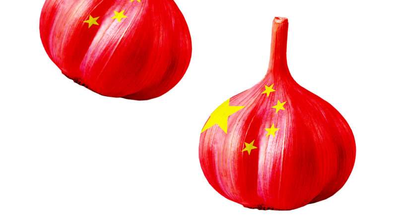 Garlic bulbs in the style of the Chinese flag, red with yellow stars