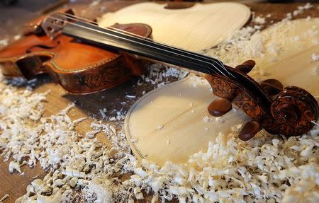 A violin is seen at the Consorzio Liutai "Antonio Stradivari" workshop in Cremona, Italy, March 11, 2016. REUTERS/Stefano Rellandini