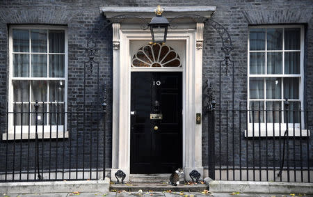 The no. 10 cat is let in through the front door of Britain Prime Minister Theresa May's residence at 10 Downing Street in London, Britain, October 5, 2017. REUTERS/Toby Melville