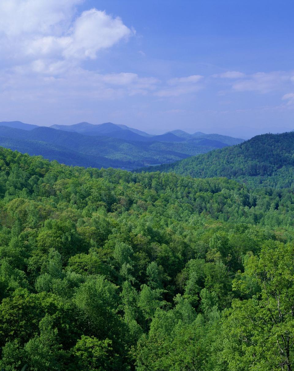 Georgia: Tennessee Rock Trail