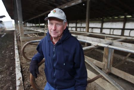 Hugh Byron, a retired dairy farmer, stands in an empty cattle barn on his farm in Hillsboro, Kentucky November 13, 2014. REUTERS/John Sommers II