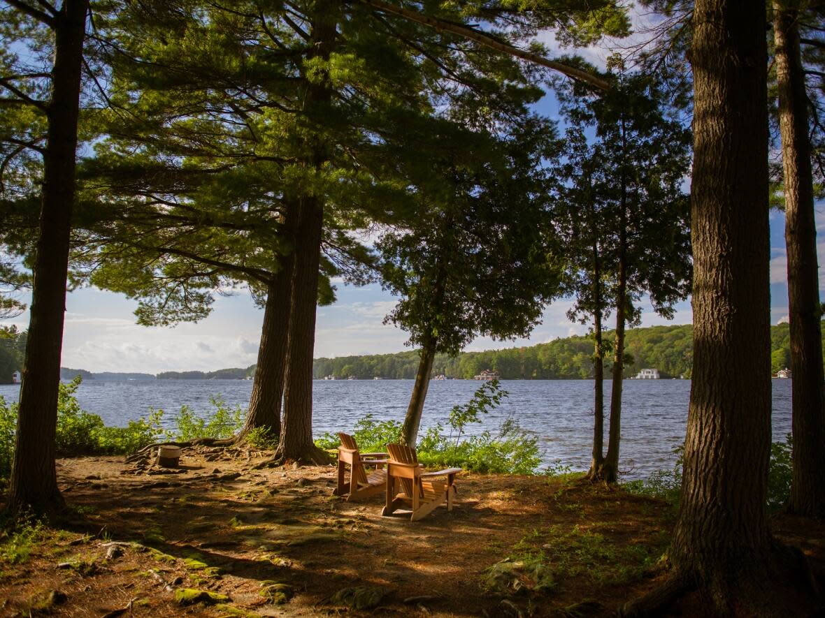 Property owners in Muskoka Lakes say short-term rentals have taken the peace and quiet out of cottage country. The township has drafted a new bylaw to address the issue. (Shutterstock - image credit)