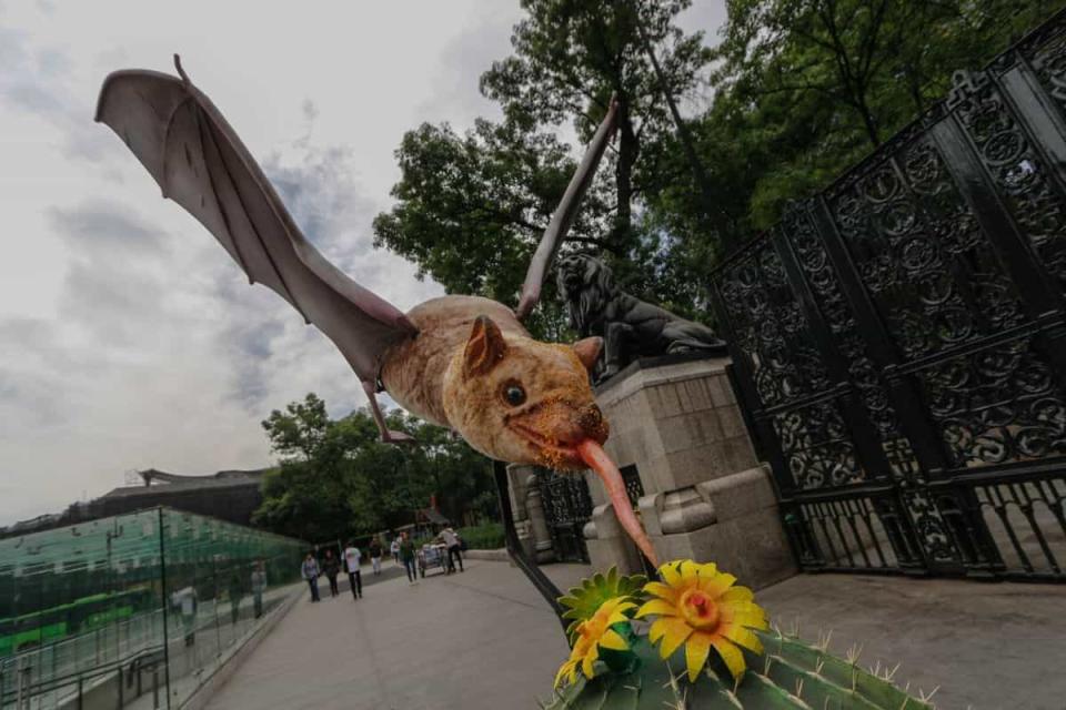 festival del bosque chapultepec murcielagos monumentales