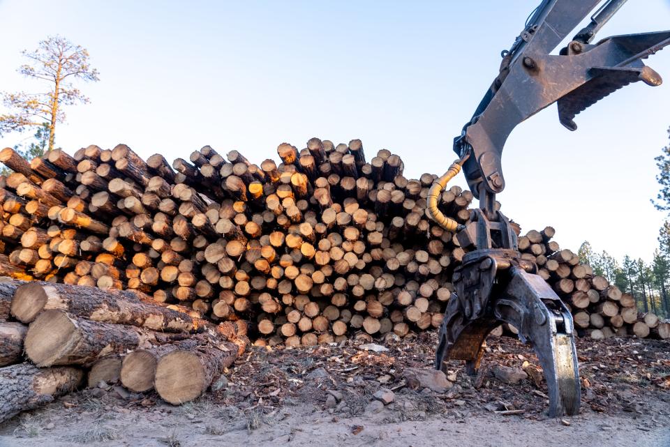 Trees are stacked among each other after being logged by Canyon Creek Logging within the Apache-Sitgreaves National Forests on May 13, 2022.