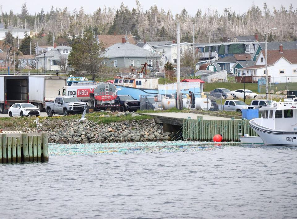 Dozens of crates of lobsters float in the harbour on Monday in Louisbourg, N.S., which fishing industry experts say is only a temporary measure because of the risk to the crustaceans.