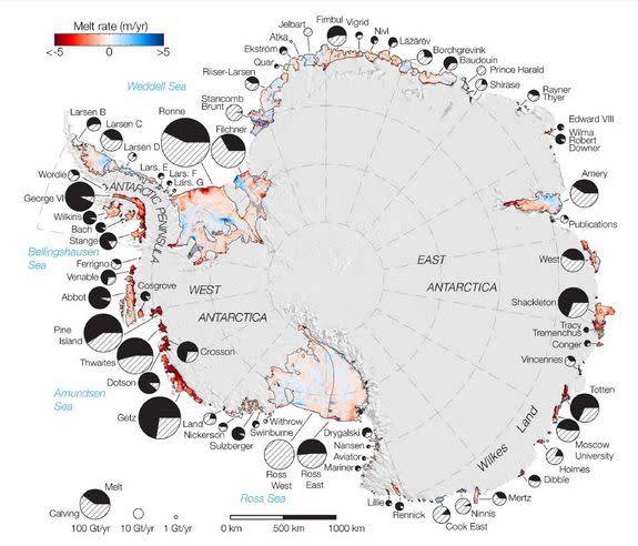 A schematic of ice shelves melting in Antarctica. The size of the pie wedge is proportional to the mass of ice lost. Black represents loss through bottom melt; white-stripes from iceberg calving. Red shows ice shelves that are freezing on botto