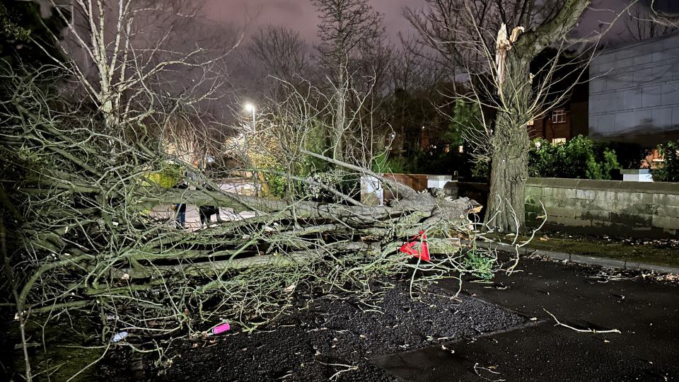 A tree branch fallen on Notting Hill road in south Belfast during Storm Isha. A Status Red wind warning has been issued for counties Donegal, Galway and Mayo as authorities warn people to take care ahead of Storm Isha's arrival. Picture date: Sunday January 21, 2024.