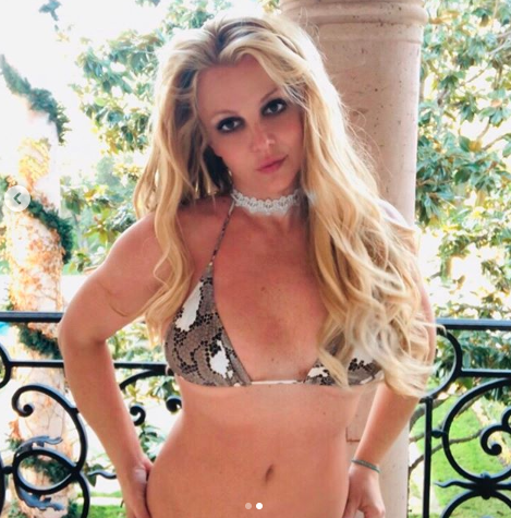 Britney shared two snaps of the snakeskin swimsuit. Photo: Instagram/britneyspears