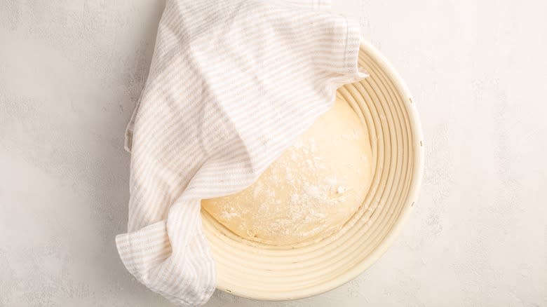 dough half-covered in bowl