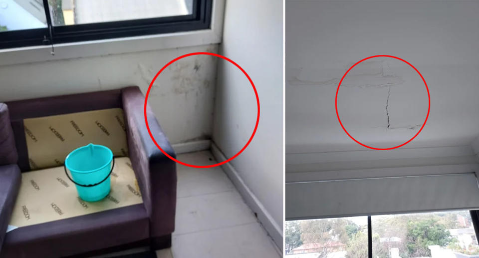 Damage and mould in Sydney Waterloo rental apartment on Cope Street