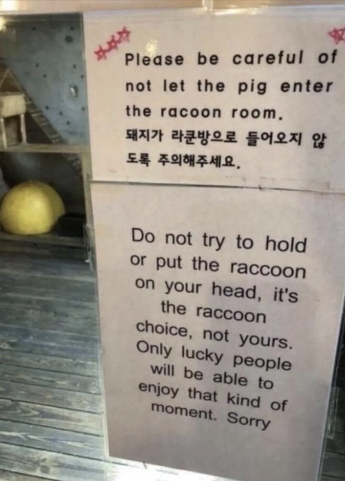 Signs advising: "Please be careful of not let the pig enter the racoon room" and "Do not try to hold or put the raccoon on your head, it's the raccoon's choice."