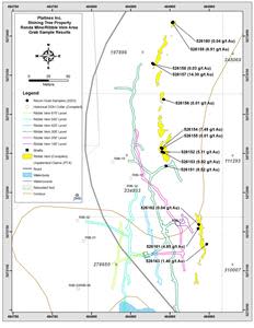 Platinex's Shining Tree Property Ronda Mine/Ribble vein area grab sample results