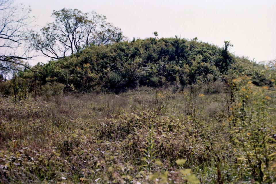 This Indian mound on Moore’s Lane in Franklin, here Sept. 13, 1996, is one of many archaeological sites studied by Smithsonian Institution historians in the years following the Civil War. The mound is being threatened by encroaching development.