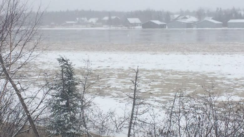 'Scary, unreal': 2 families told to leave homes as Deer Lake ice threatens