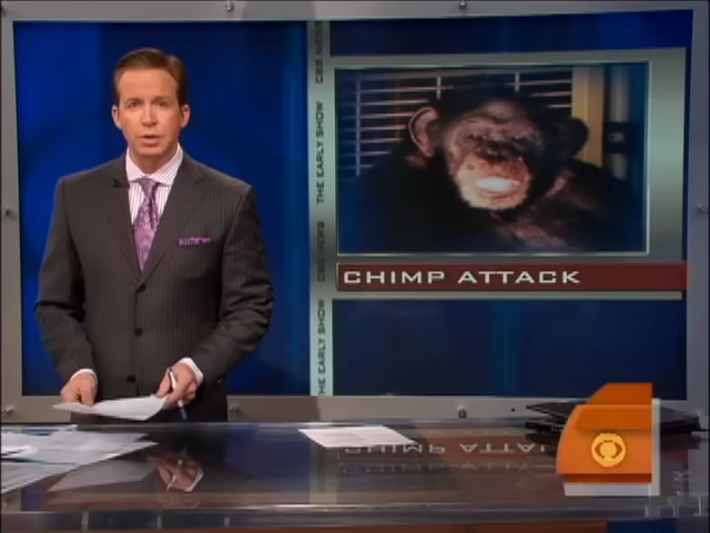 Newscaster at desk with a graphic of a chimpanzee titled 