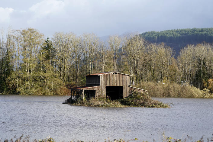 A barn sits surrounded by Skagit River floodwaters Monday, Nov. 15, 2021, in Sedro-Woolley, Wash. The heavy rainfall of recent days brought major flooding of the Skagit River that is expected to continue into at least Monday evening. (AP Photo/Elaine Thompson)