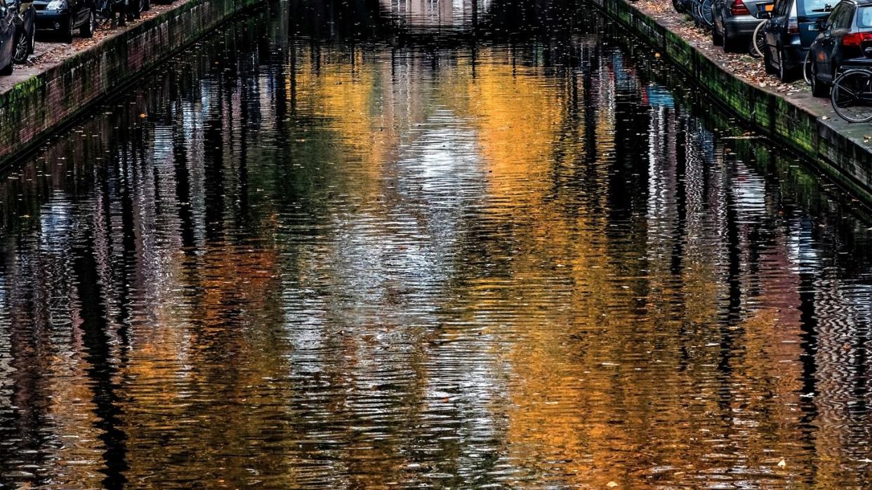 Bridge Over River During Autumn