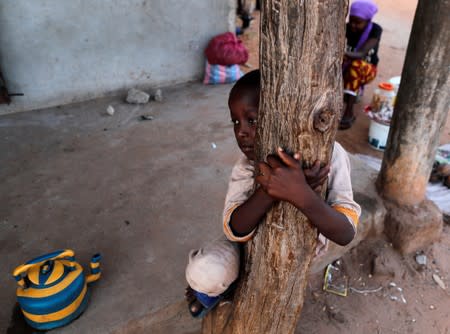 Boy plays on a tree in Jufureh, Albreda, a town where slaves were abducted and shipped by slave traders in Gambia