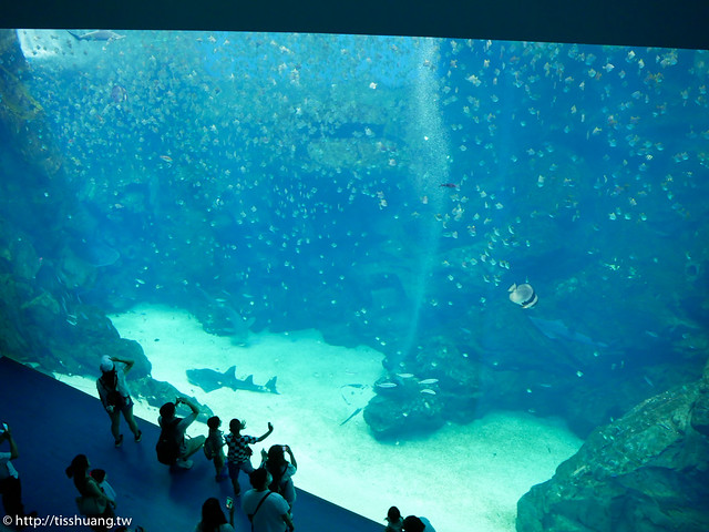 Xpark水族館-1620468