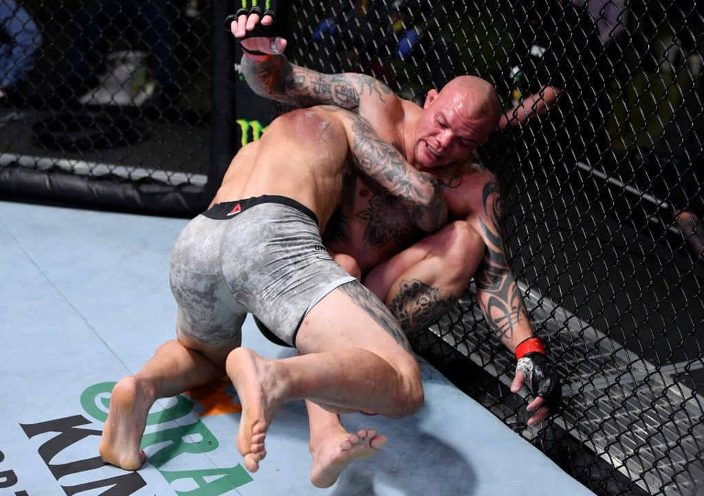 Anthony Smith will be in UFC action on 19 September (Zuffa LLC via Getty Images)