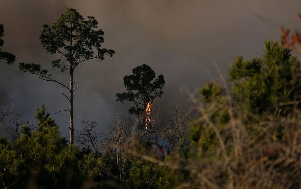 Texas Wildfire (ASSOCIATED PRESS)