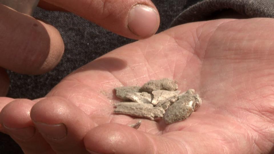 Shell fragments found at the excavation site would have carried up the hill to the camp, says Amundsen-Meyer.