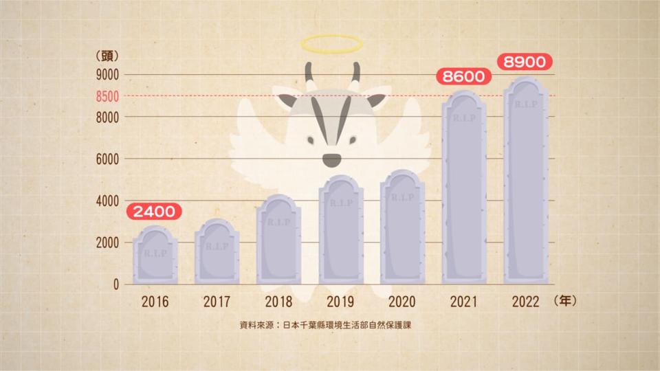 2016 年至 2022 年日本千葉縣捕捉的山羌數量。資料來源：日本千葉縣環境生活部自然保護課