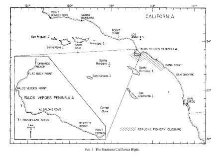 Palos Verdes Peninsula, home to crucial abalone stocks. Source: Tegner