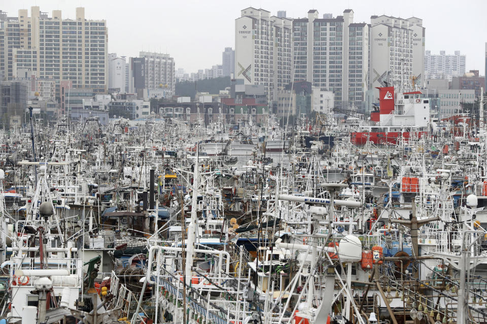 Fishing boats are anchored at a port as Typhoon Hinnamnor travels toward the Korean Peninsula in Pohang, South Korea, Monday, Sept. 5, 2022. The typhoon, the strongest global storm this year, blew its way past Taiwan and the Koreas with fierce winds and heavy rains.(Son Dae-sung/Yonhap via AP)