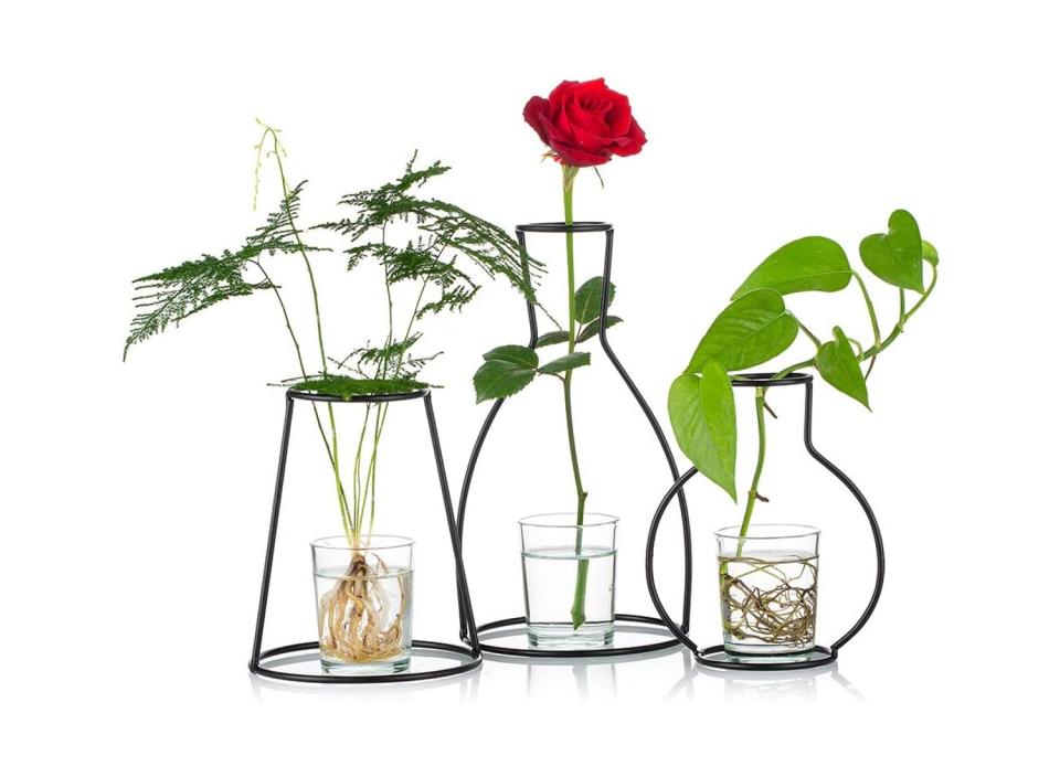 Add some personality to your space with these whimsical vases. (Source: Amazon)