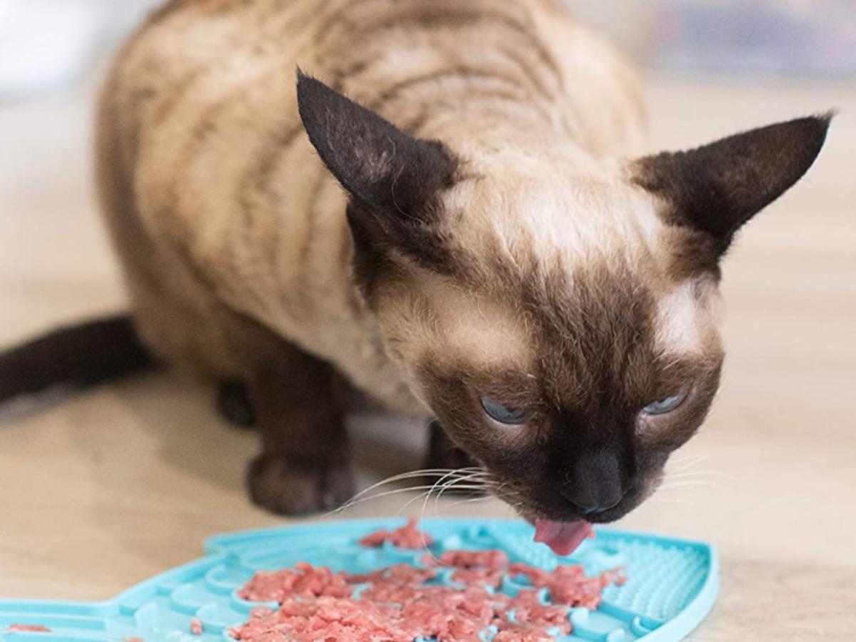 Shoppers Say This  Anxiety & Boredom-Reducing Bowl Alternative Helped Their Cat’s Eating Problems