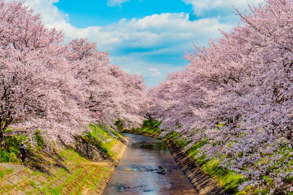 吉野瀨川