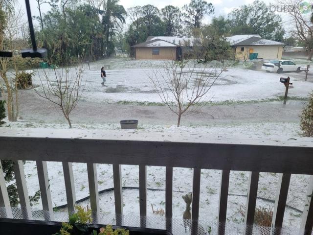 Channel 9 viewers submitted their photos of hail in Central Florida, which pounded areas like West Melbourne and Palm Bay on Wednesday.