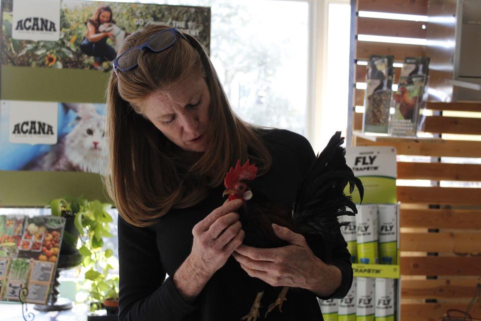 Owner of Inspire Farms, Tiffiny Lilley holds her rooster Monty.
