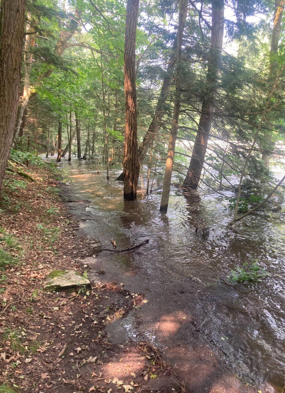 The TAM around Otter Creek Gorge is severely flooded following the deluge on August 3rd.